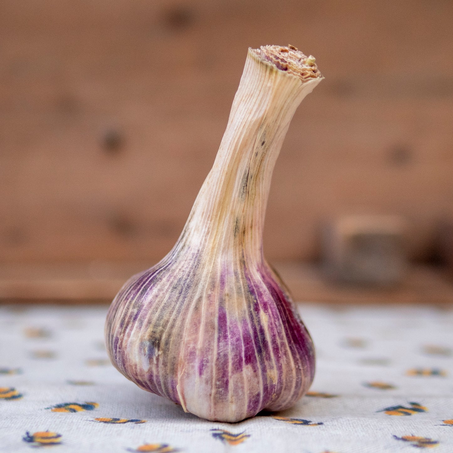The Garlic Farm - Rhapsody Wight Garlic Bulb