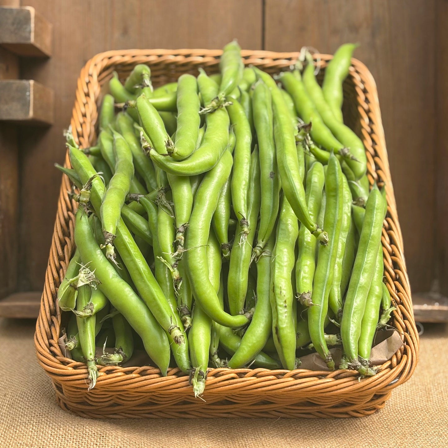 Sopley Farm - Broad Beans