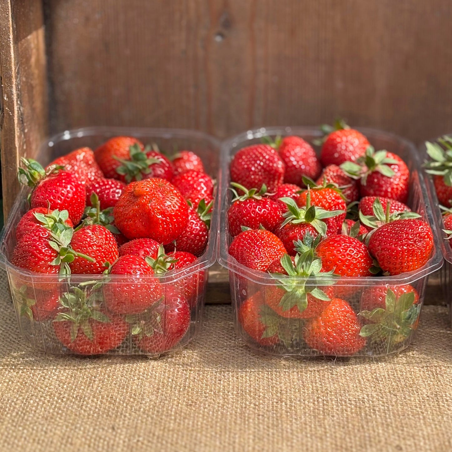 Sopley Farm - Strawberries