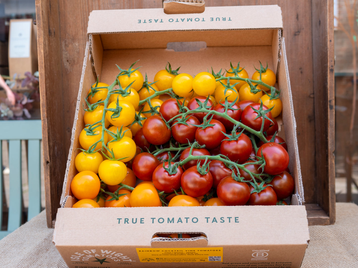 Isle of Wight Tomatoes - Rainbow Cocktail Vine Tomatoes - 350g Bags