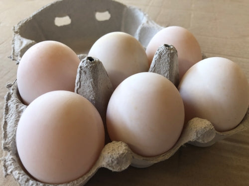 Ambrose Farm - Duck Eggs