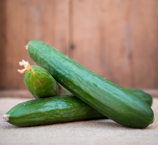 Isle of Wight Tomatoes - Cucumbers
