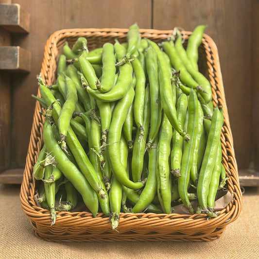 Sopley Farm - Broad Beans