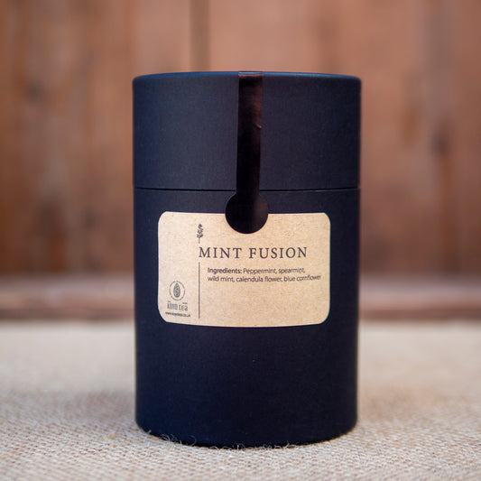 Koyo Tea UK- Mint Fusion