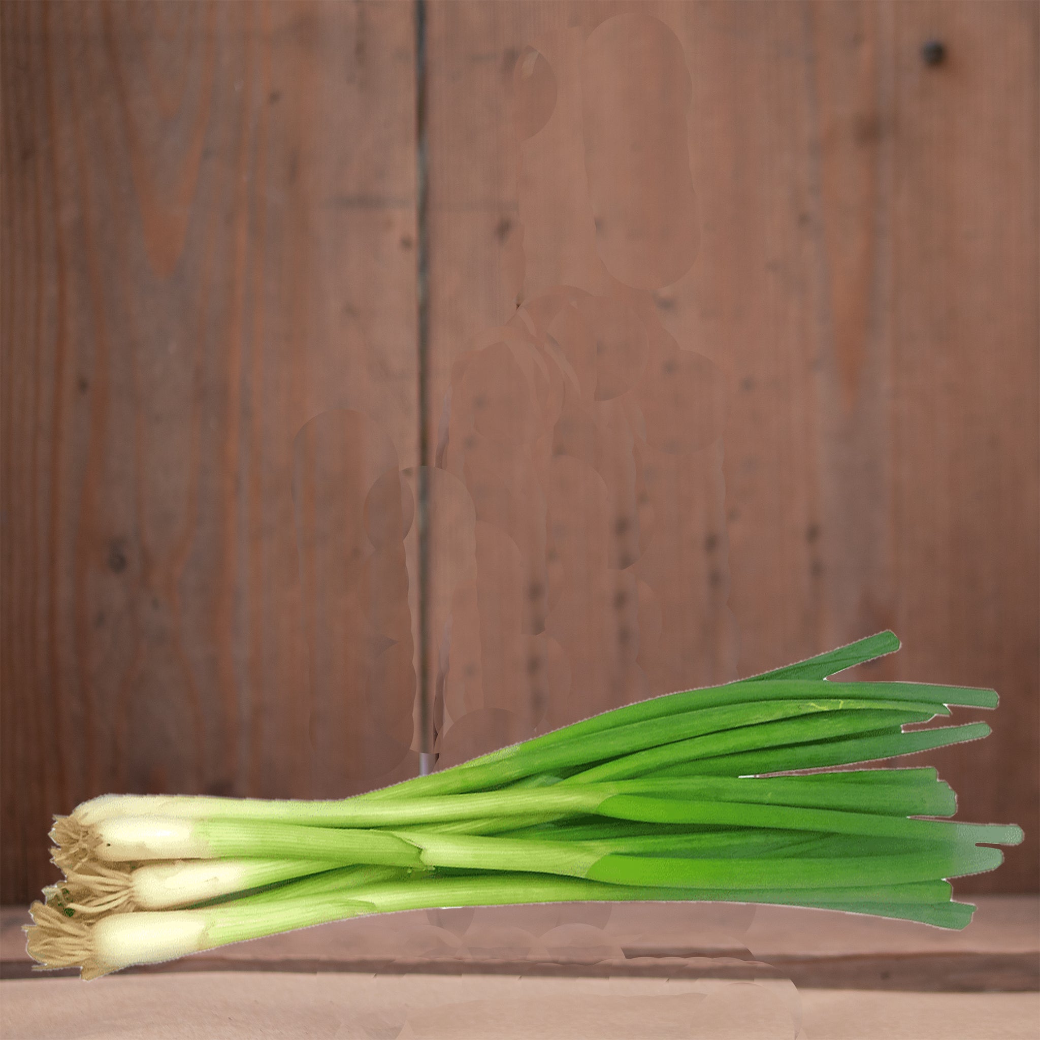 Organic Spring Onions – Fluffetts Home